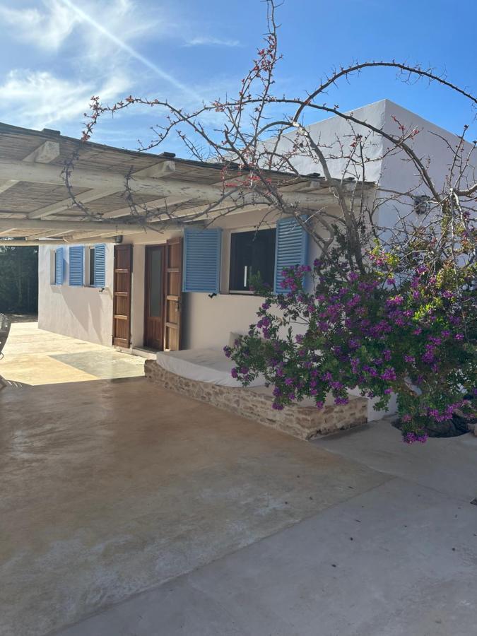 San Francisco Javier Casa Mayo מראה חיצוני תמונה